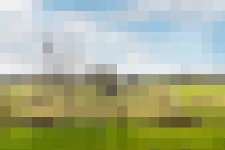Bavelselaan 494 Breda thumbnail 23