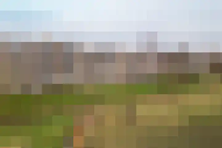 Bavelselaan 494 Breda thumbnail 25