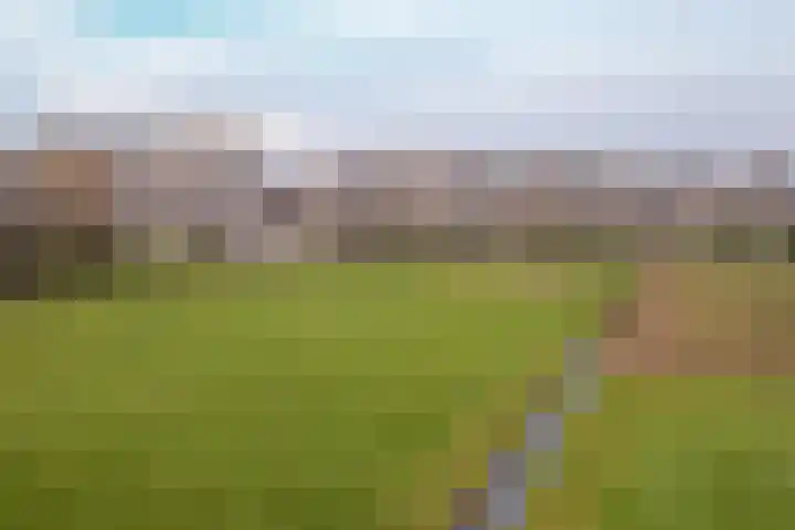 Bavelselaan 494 Breda thumbnail 26