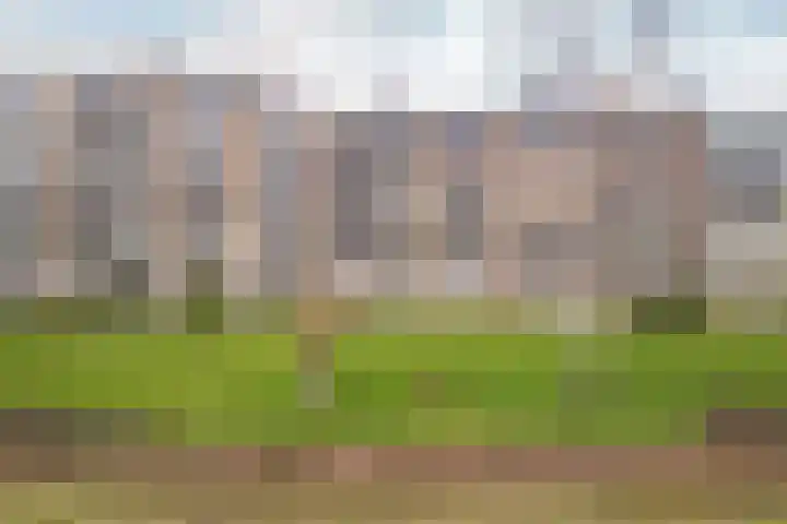 Bavelselaan 494 Breda thumbnail 4