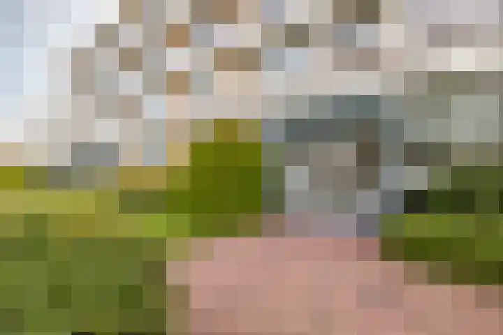 Bavelselaan 494 Breda thumbnail 5