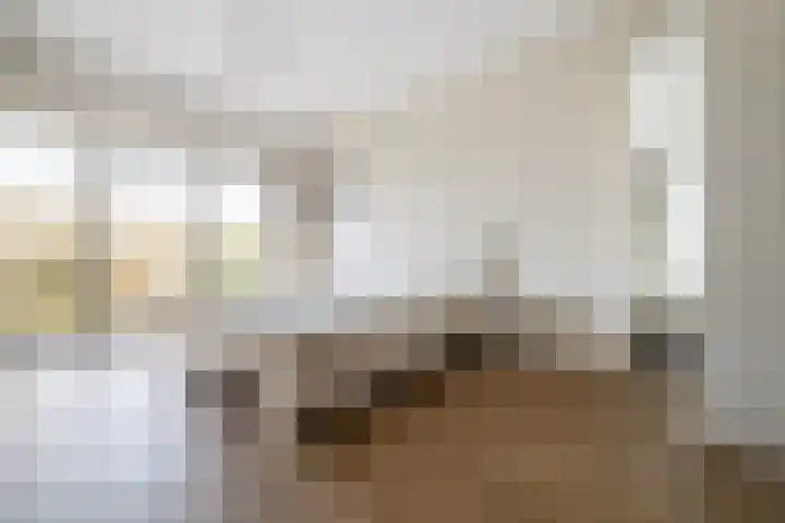 Bavelselaan 494 Breda thumbnail 8