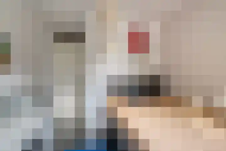 Bavelselaan 56 A Breda thumbnail 20