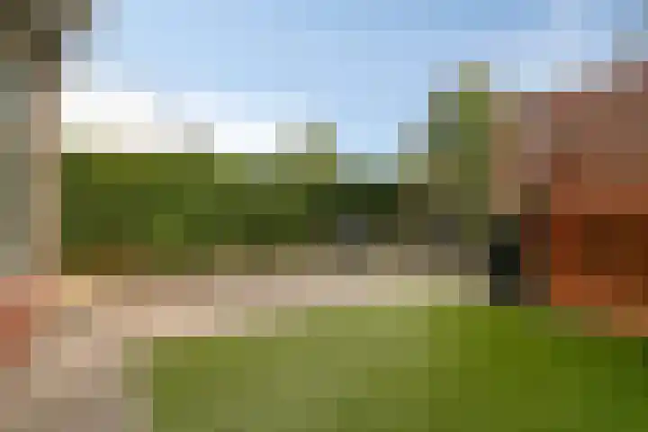 Bavelselaan 56 A Breda thumbnail 31