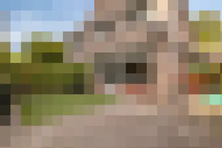 Bavelselaan 56 A Breda thumbnail 33