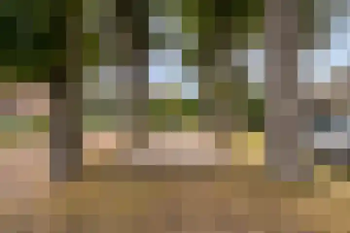 Bavelselaan 56 A Breda thumbnail 35