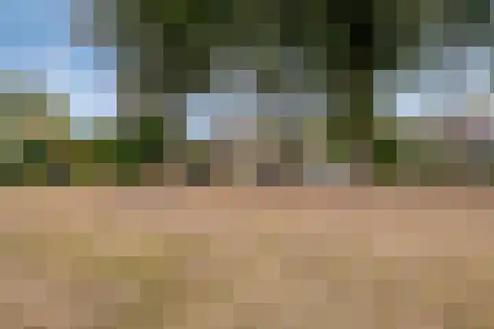 Bavelselaan 56 A Breda thumbnail 36