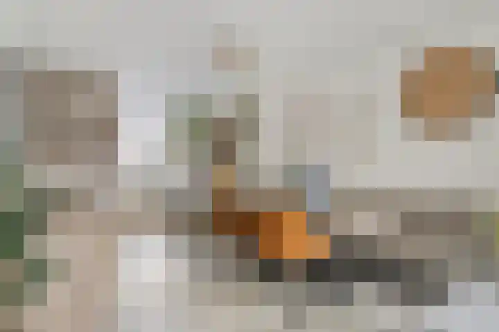 Bavelselaan 56 A Breda thumbnail 4