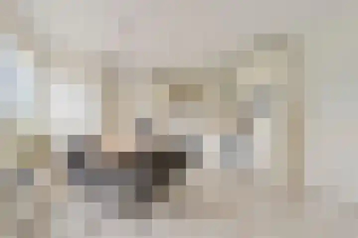 Bavelseweg 161 Molenschot thumbnail 15
