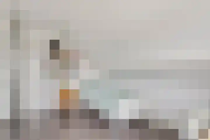 Bavelseweg 161 Molenschot thumbnail 22