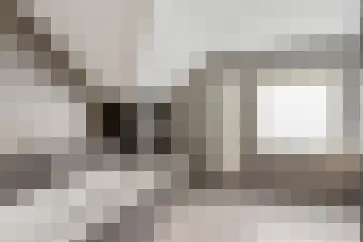 Bavelseweg 161 Molenschot thumbnail 25