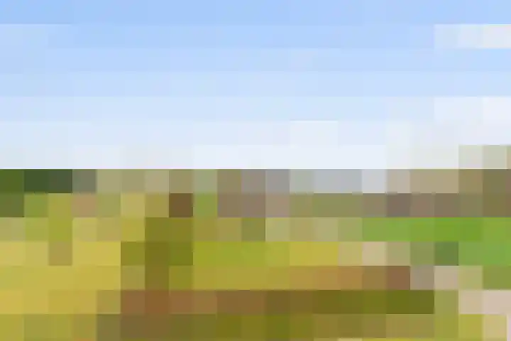 Bavelseweg 161 Molenschot thumbnail 28