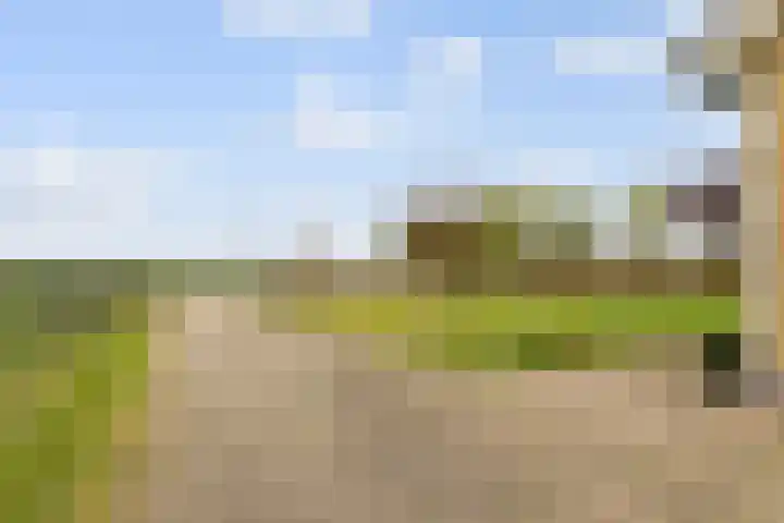 Bavelseweg 161 Molenschot thumbnail 30