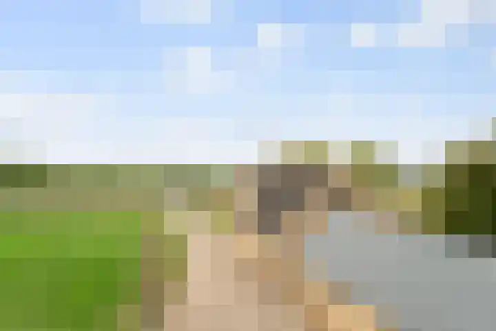 Bavelseweg 161 Molenschot thumbnail 31