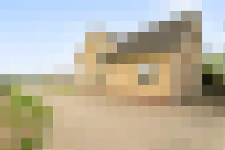 Bavelseweg 161 Molenschot thumbnail 32