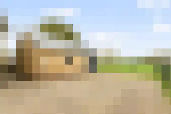 Bavelseweg 161 Molenschot thumbnail 33