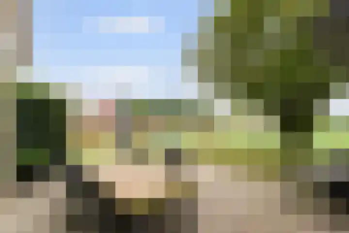 Bavelseweg 161 Molenschot thumbnail 34