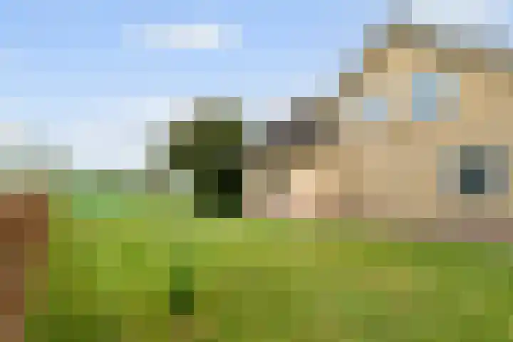 Bavelseweg 161 Molenschot thumbnail 36