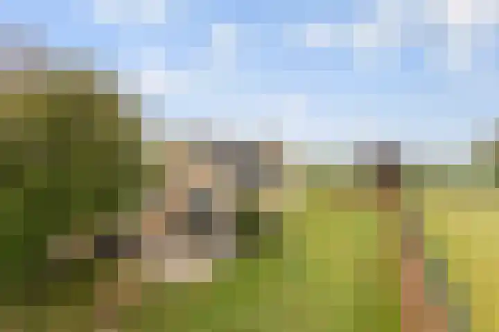 Bavelseweg 161 Molenschot thumbnail 37
