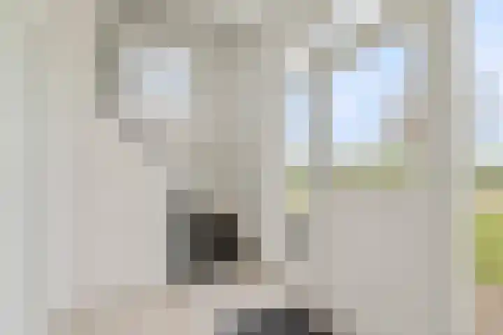 Bavelseweg 161 Molenschot thumbnail 6