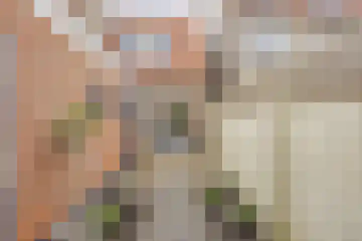 Bavinckstraat 19 Kampen thumbnail 24