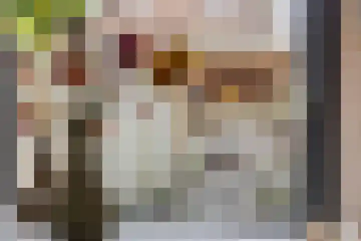 Bavinckstraat 19 Kampen thumbnail 7