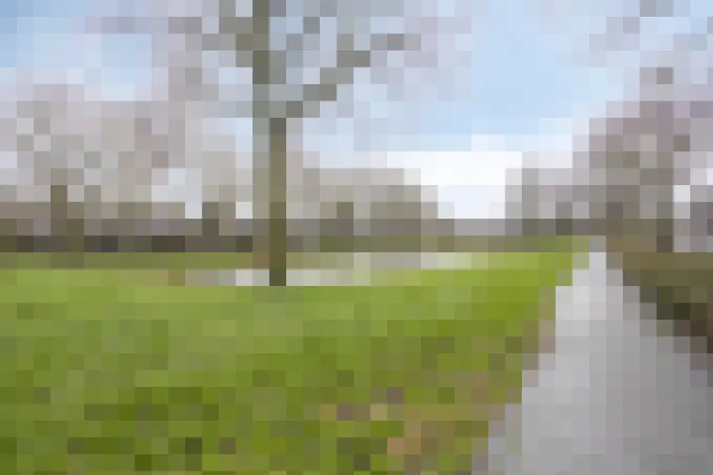 Bavinckstraat 30 Kampen thumbnail 31