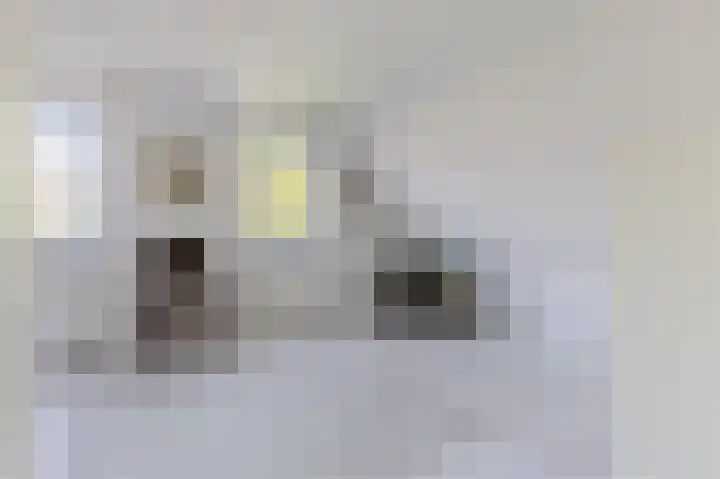 Bavinkhof 3 Amsterdam thumbnail 32