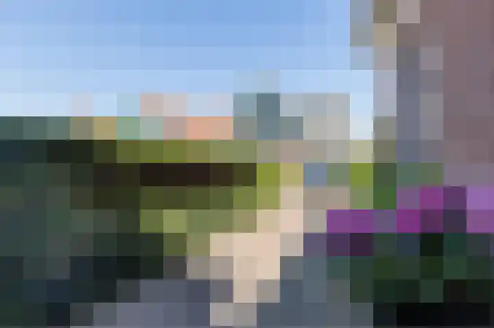 Bavinkhof 3 Amsterdam thumbnail 8