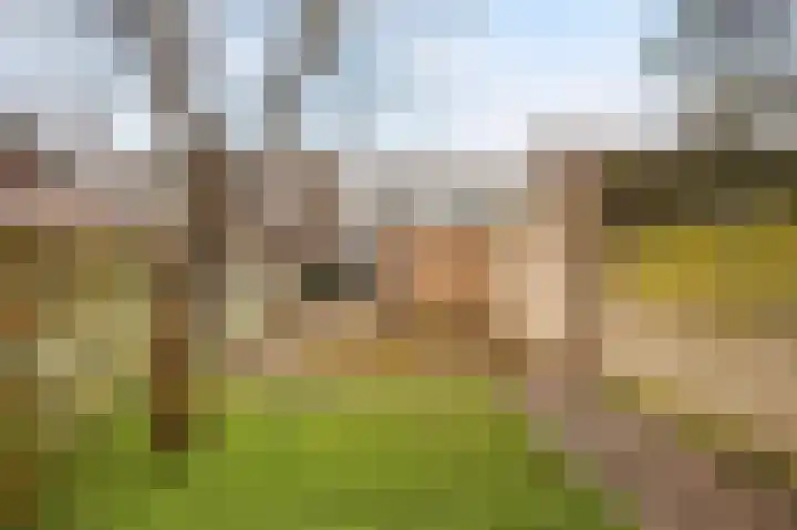 Bavinkstraat 10 Almelo thumbnail 23