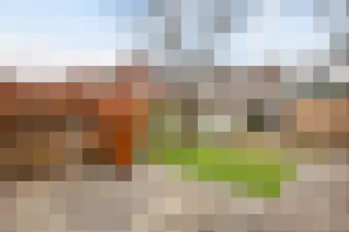 Bavinkstraat 10 Almelo thumbnail 24