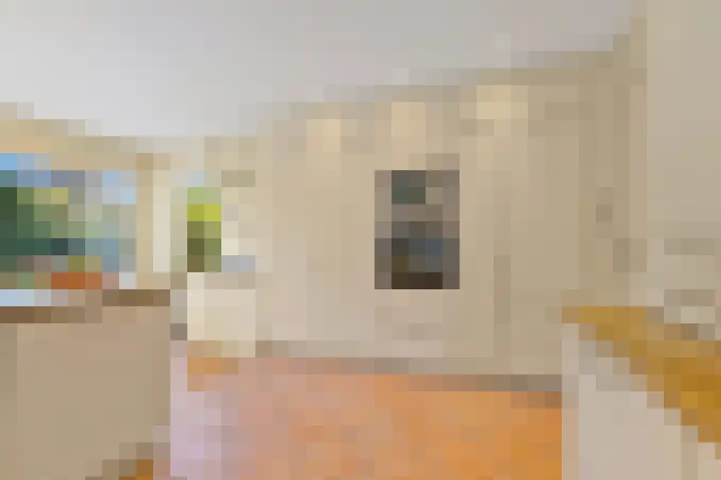 Bavoylaan 11 Den Haag thumbnail 15