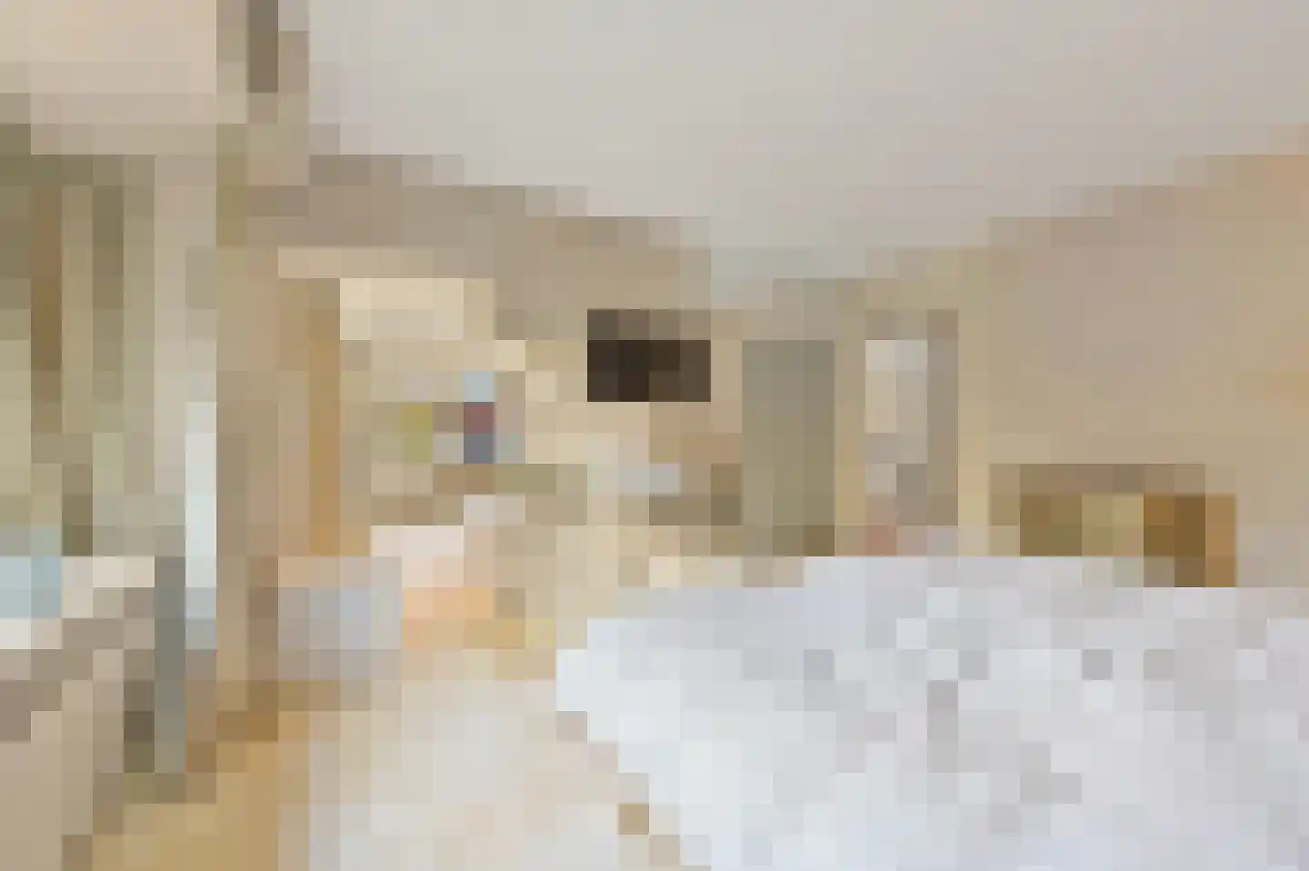 Bavoylaan 11 Den Haag thumbnail 34