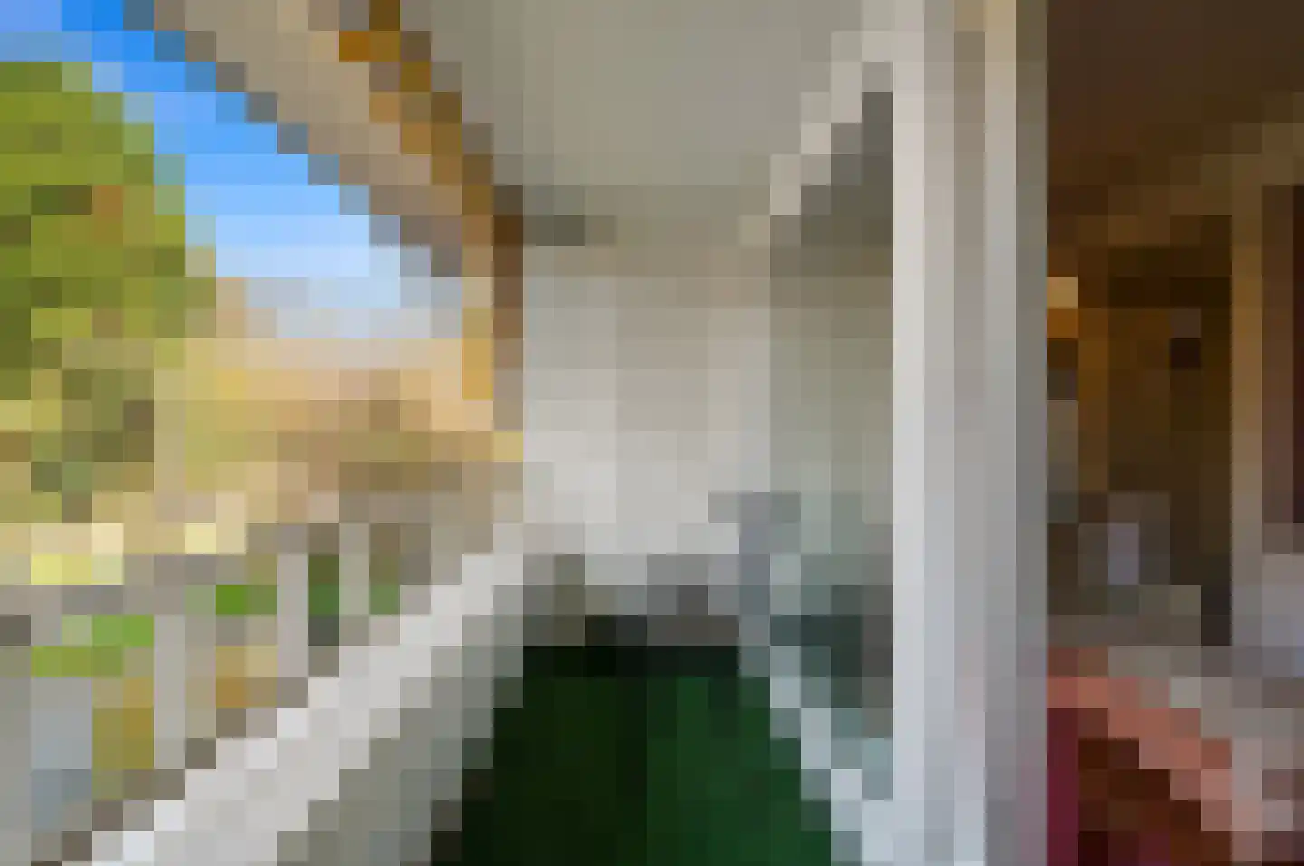 Bavoylaan 11 Den Haag thumbnail 50