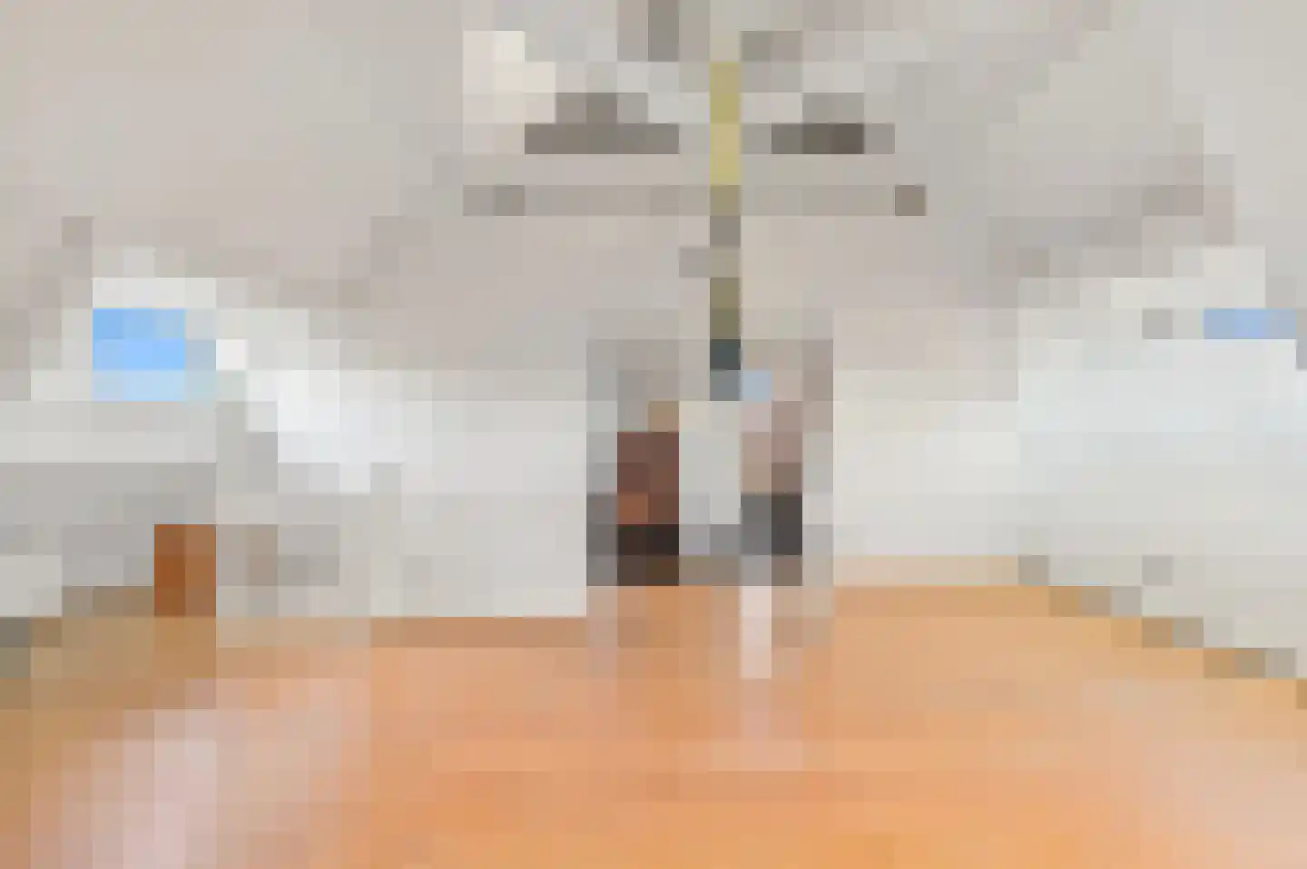 Bavoylaan 11 Den Haag thumbnail 54