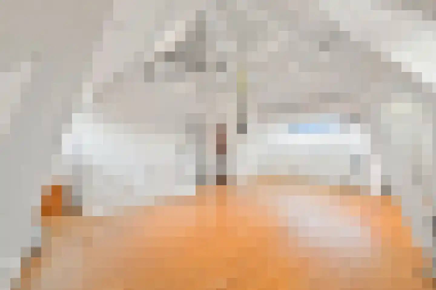 Bavoylaan 11 Den Haag thumbnail 55