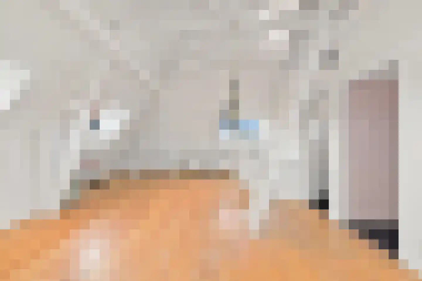 Bavoylaan 11 Den Haag thumbnail 56