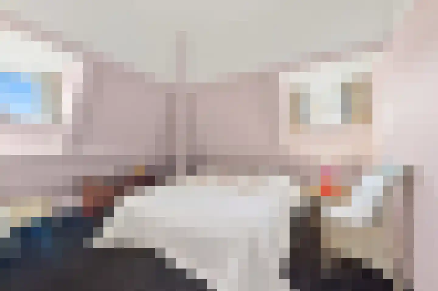 Bavoylaan 11 Den Haag thumbnail 61