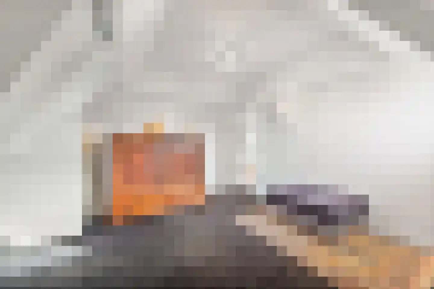 Bavoylaan 11 Den Haag thumbnail 65