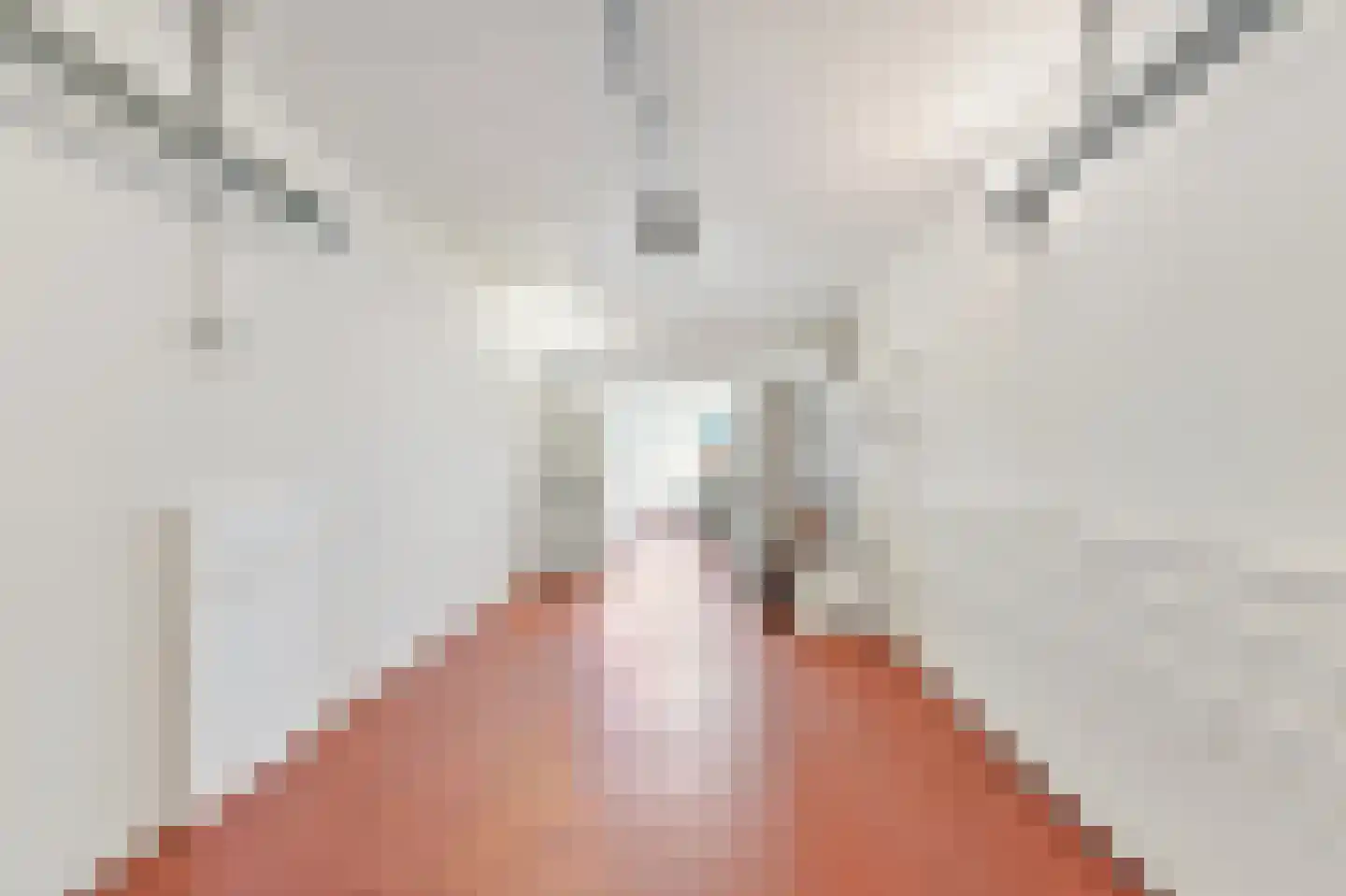 Bavoylaan 11 Den Haag thumbnail 74