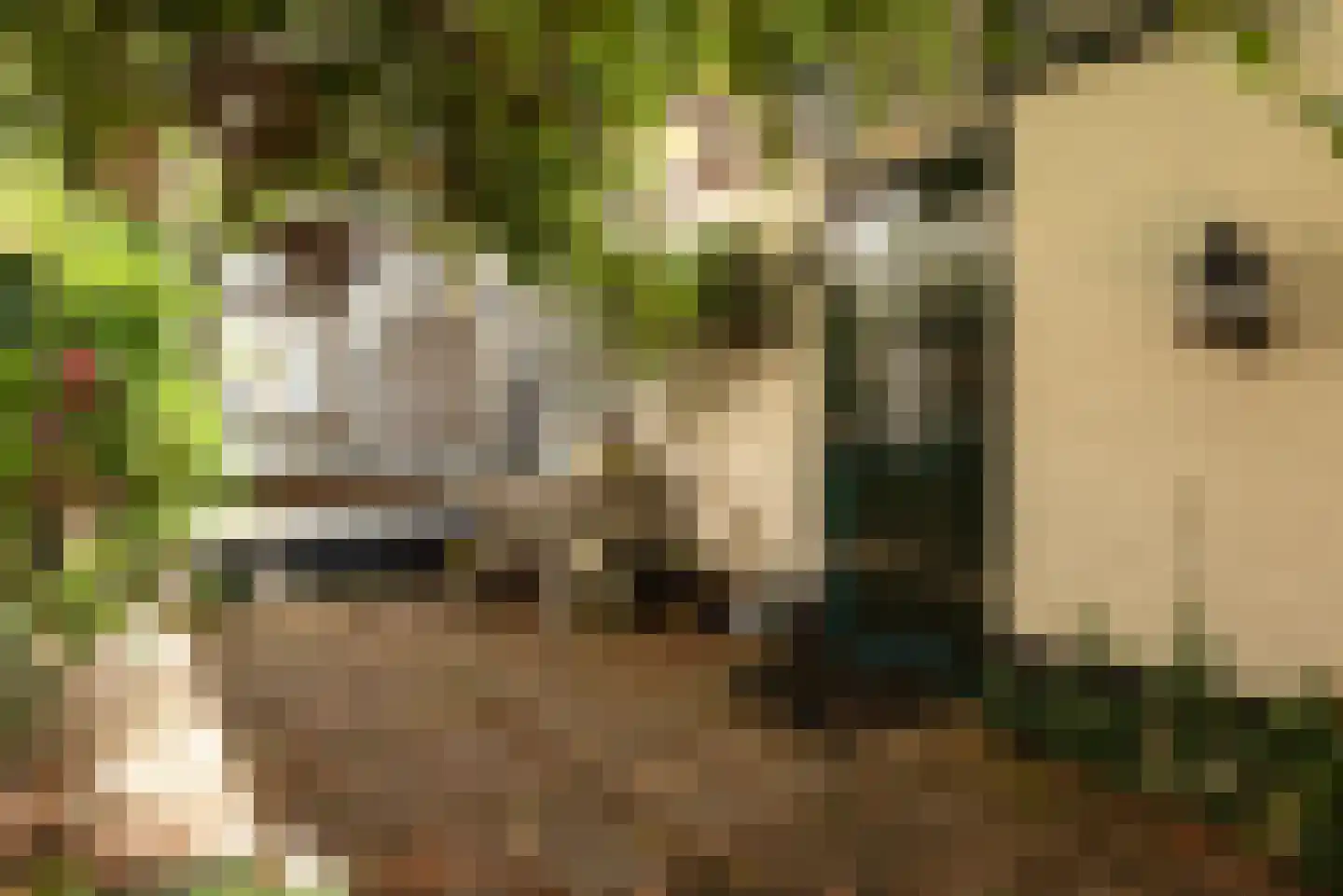 Bayershoffweg 4 Heiloo thumbnail 30