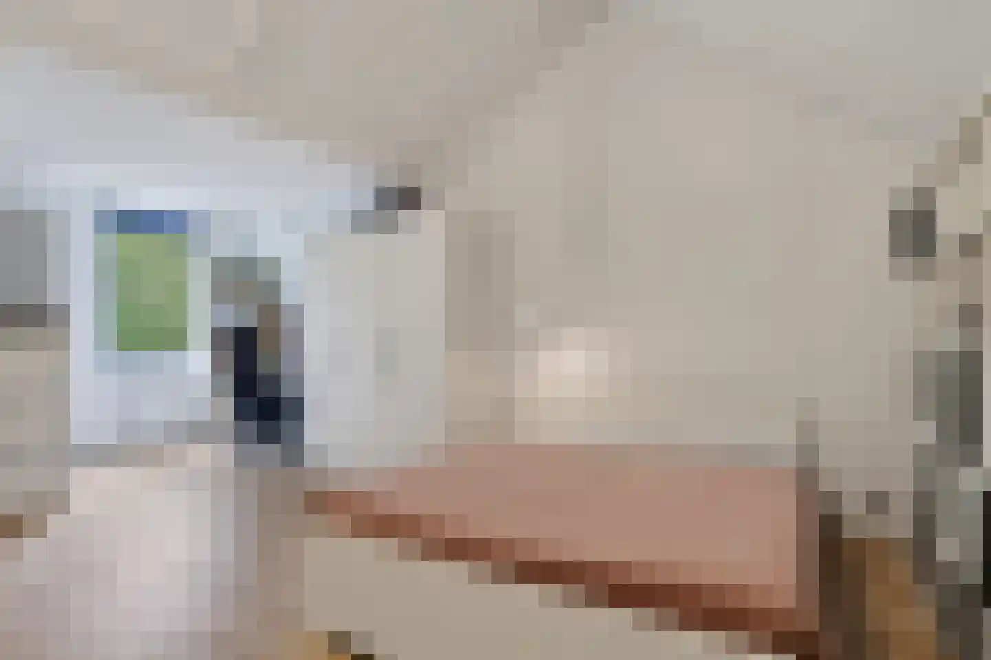 Bayeuxlaan 14 Eindhoven thumbnail 25
