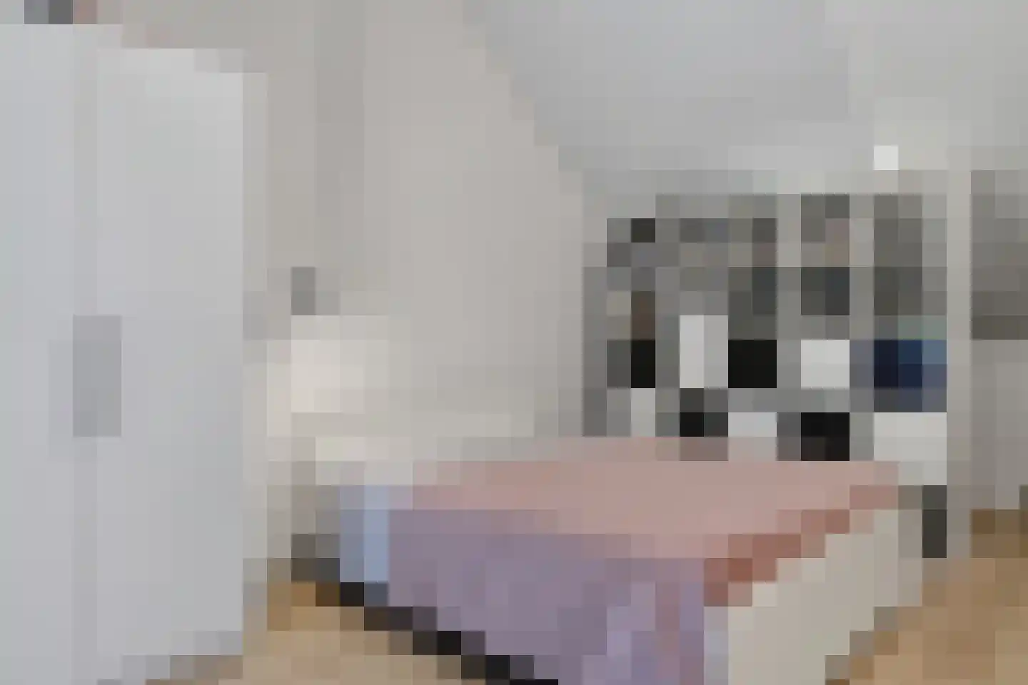 Bayeuxlaan 14 Eindhoven thumbnail 26