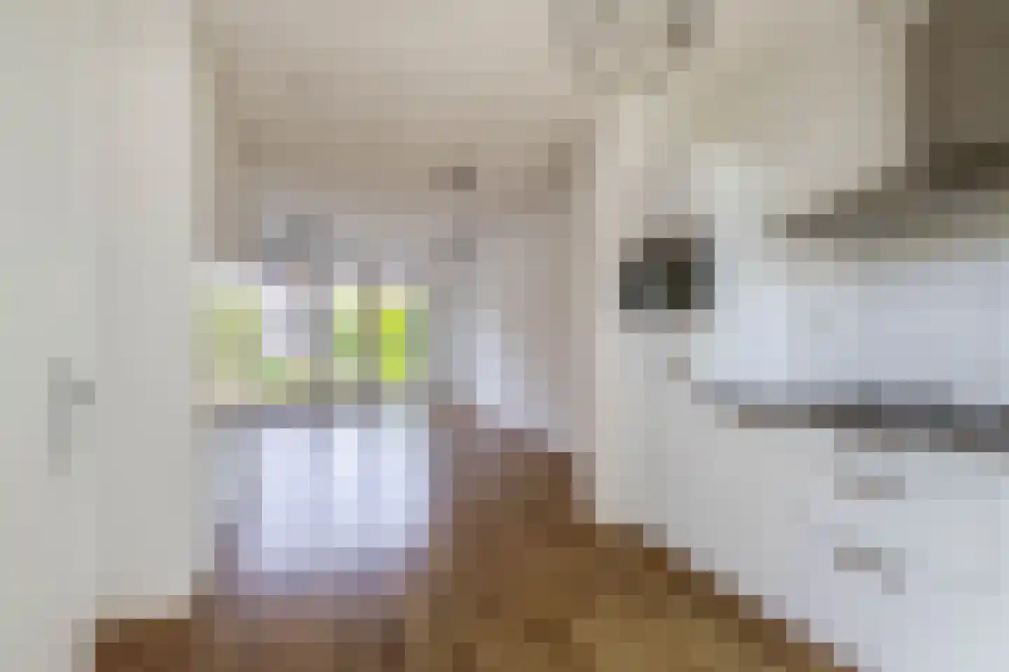Bayeuxlaan 20 Eindhoven thumbnail 14