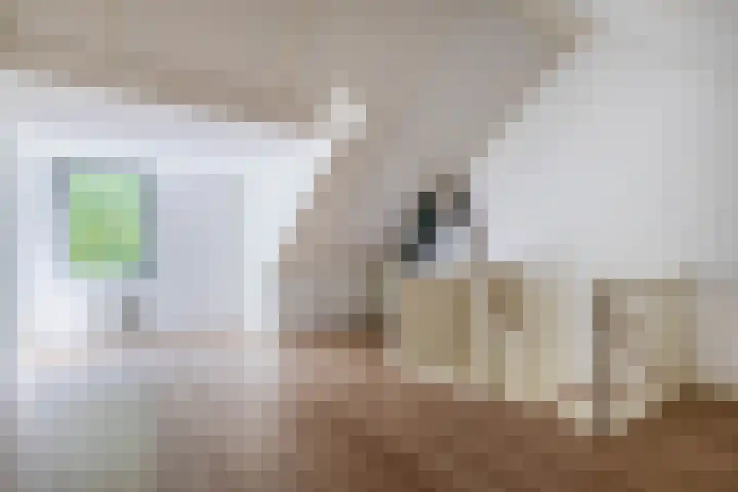 Bayeuxlaan 20 Eindhoven thumbnail 23