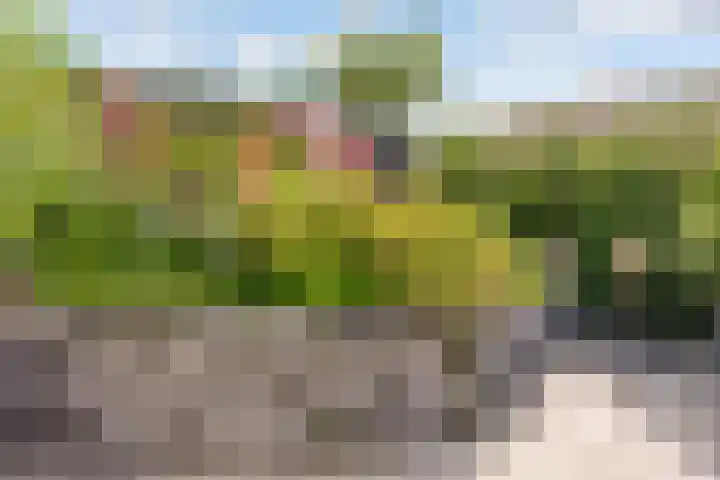 Bazaltstraat 32 't Harde thumbnail 29