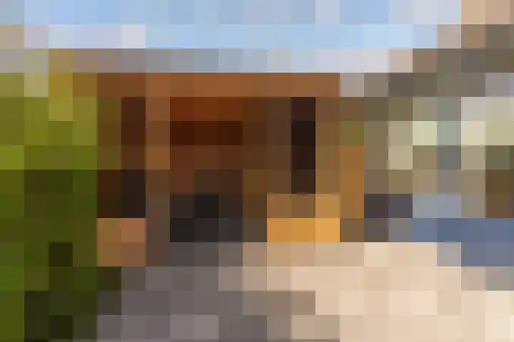 Bazaltstraat 32 't Harde thumbnail 31