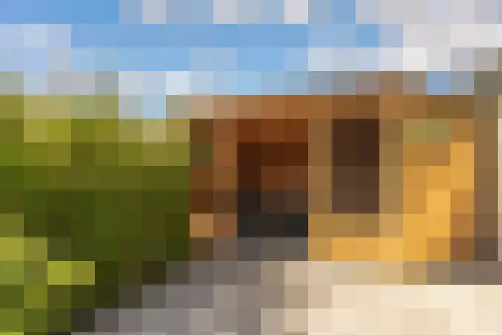 Bazaltstraat 32 't Harde thumbnail 32