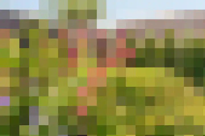 Bazaltstraat 32 't Harde thumbnail 33