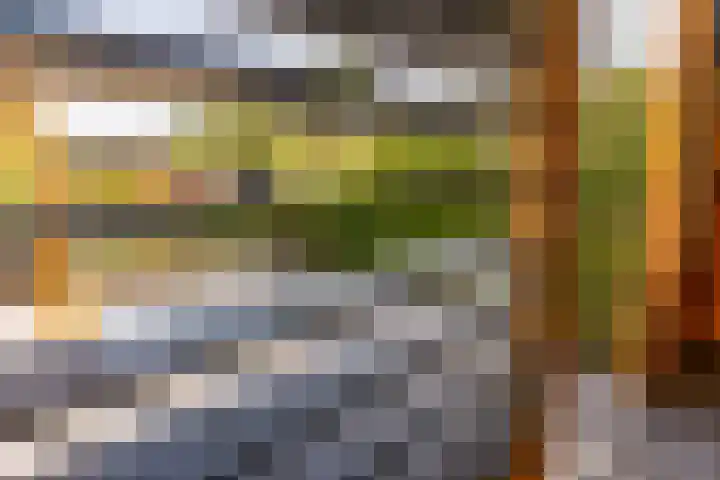 Bazaltstraat 32 't Harde thumbnail 39